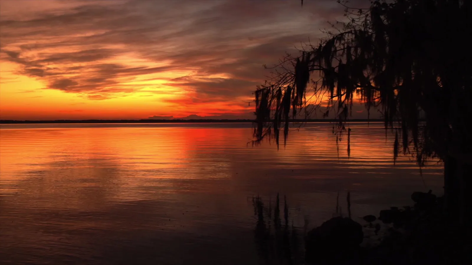 Un tramonto su uno specchio d'acqua con alberi in controluce