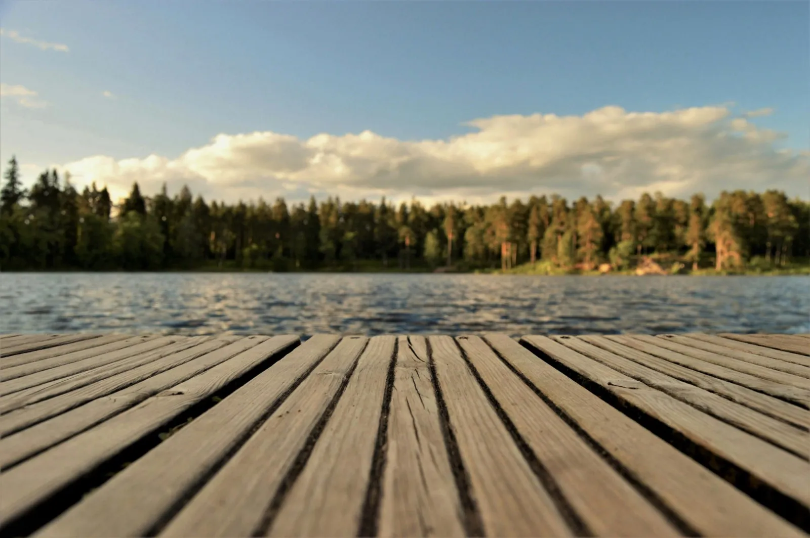 Un pontile di legno su un lago con il marchio Ulisse Exchange